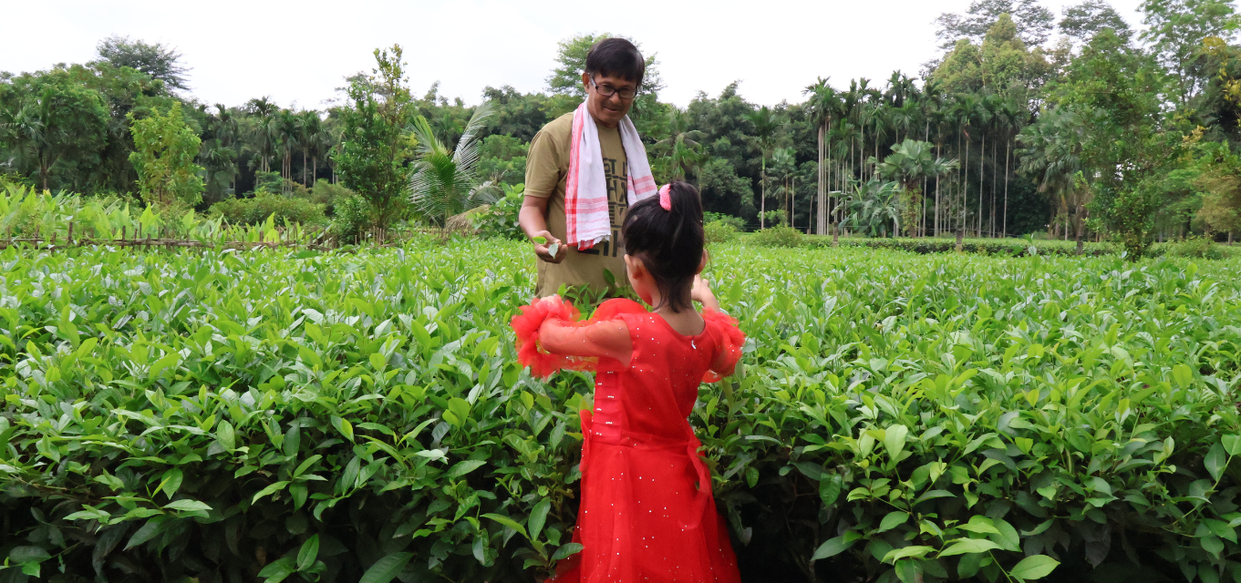 Oiirabot Family Farms; home to generations of tea-growers